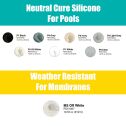 Maxisil Color Match Silicone Grout Sealant