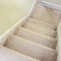 Trimaco 62450/6 24" x 50' Carpet Film