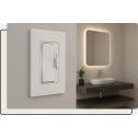 Illuminiche Gen 2 Dimmer/Driver Switch 24V 60W