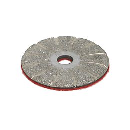 Taylor Tools 485.DIA.30 #30 Grit 4" Diamond Grinder Plate