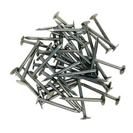 Traxx TXN-1236 1-1/4" 13 Gauge Plasterboard Nails, 1 lb. Bag