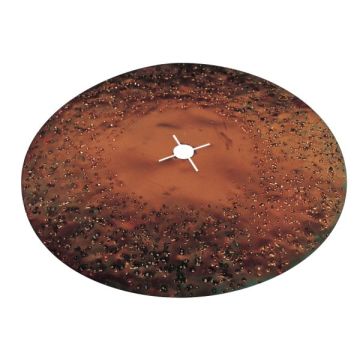 Wolff 16" 24-Grit HM Grinding Disc